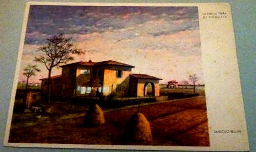Pomezia dandolo bellini - dandolo,