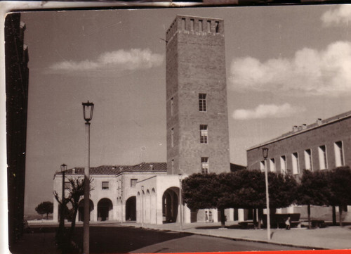 Cartolina pomezia b - ,